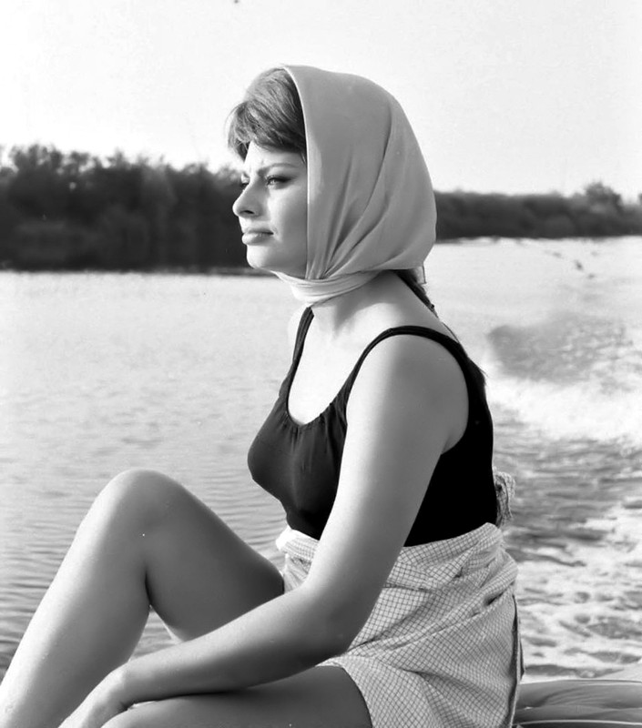 sophia loren 729