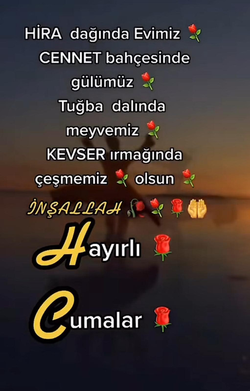IMG 20251218 183935 246