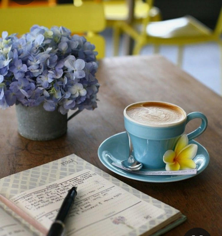 Screenshot_20230309_224849_Pinterest