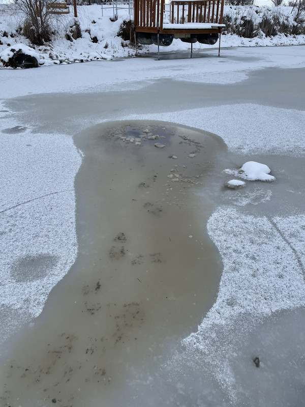 04156173-9515-4375-B4E4-59805FF3D873