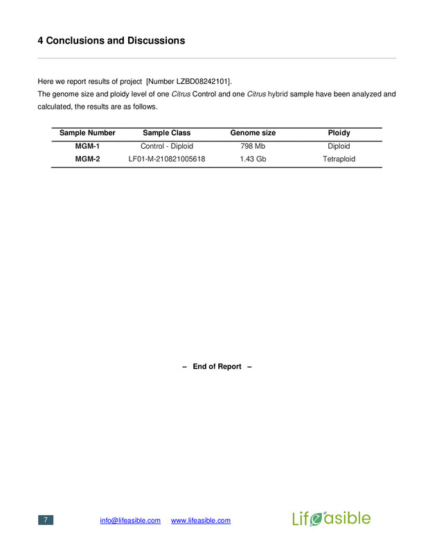 Report-8