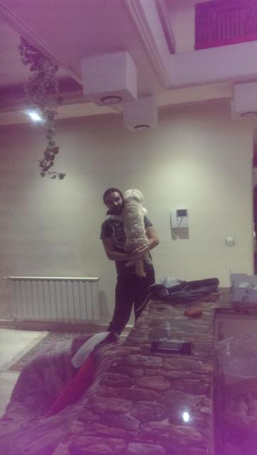 volghan hosseini (124)