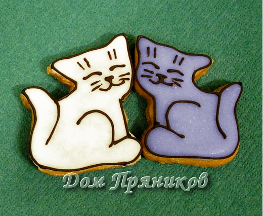Котята 002