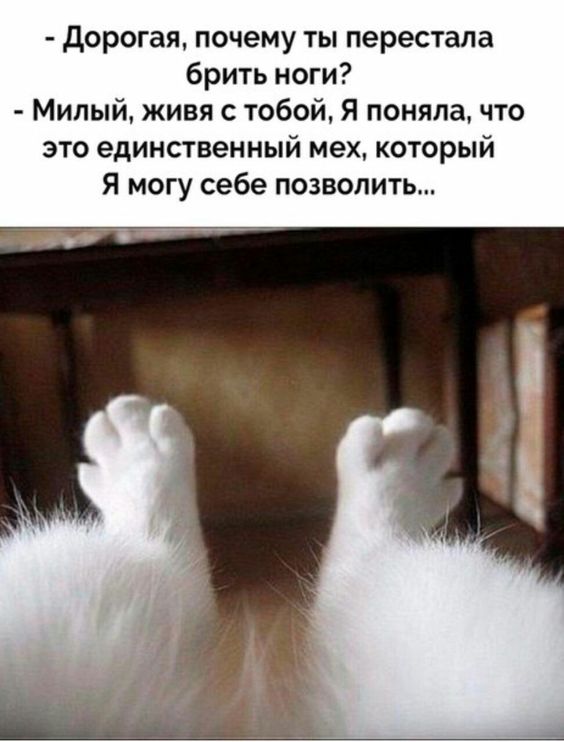 06B784FE-7DE6-4F6A-9D53-F48759DF747C