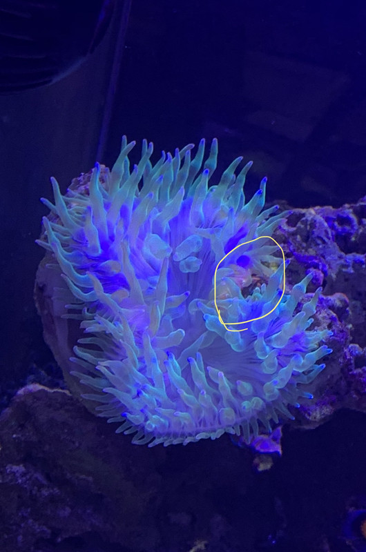 6D3F4FC1-9342-416E-A317-A973780F78C3