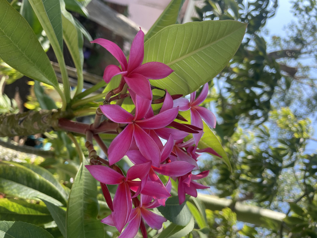 F3665C46-AF18-4556-AC7C-36786A64A388