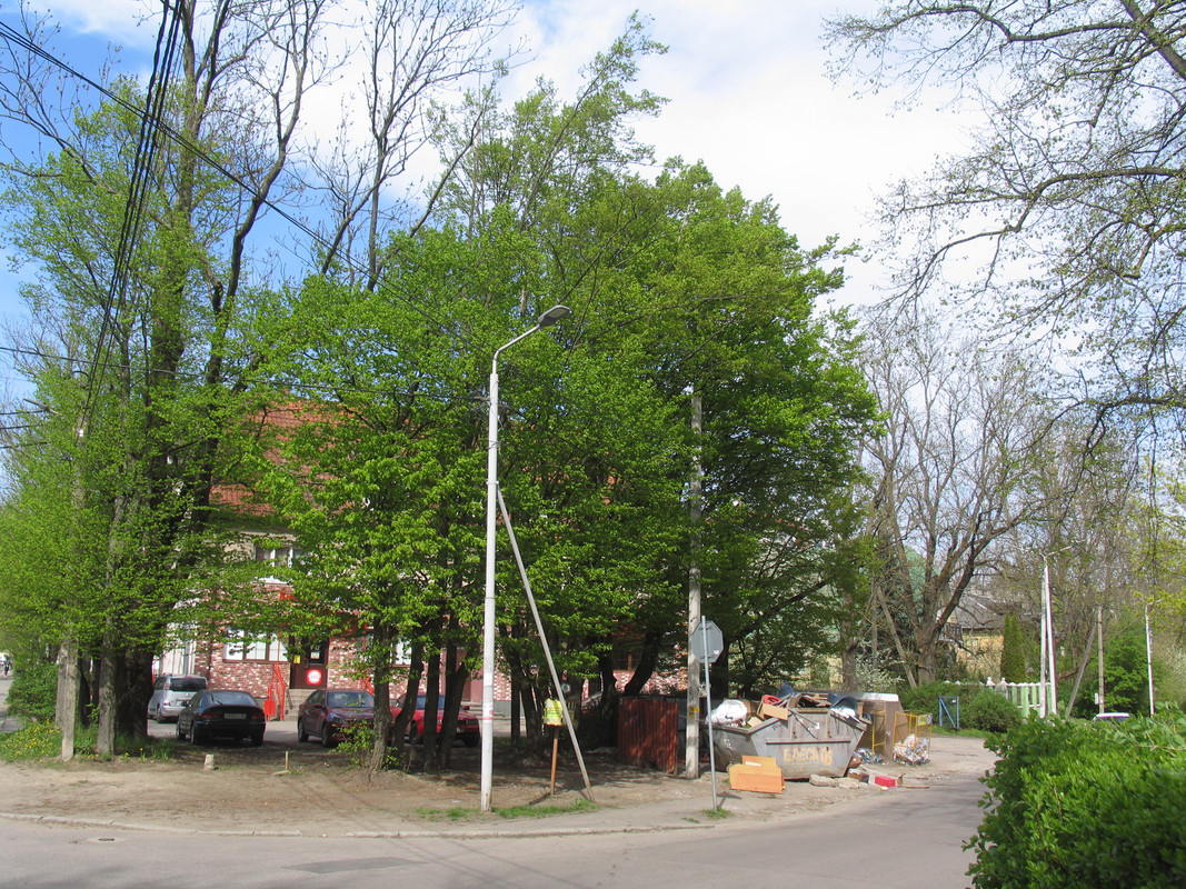 11 апреля 2024 023