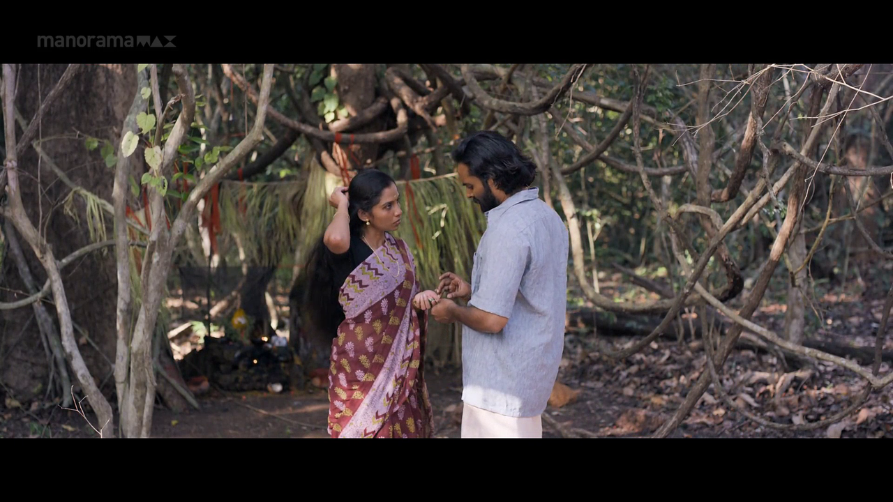 vlcsnap 2026 02 06 18h02m19s554