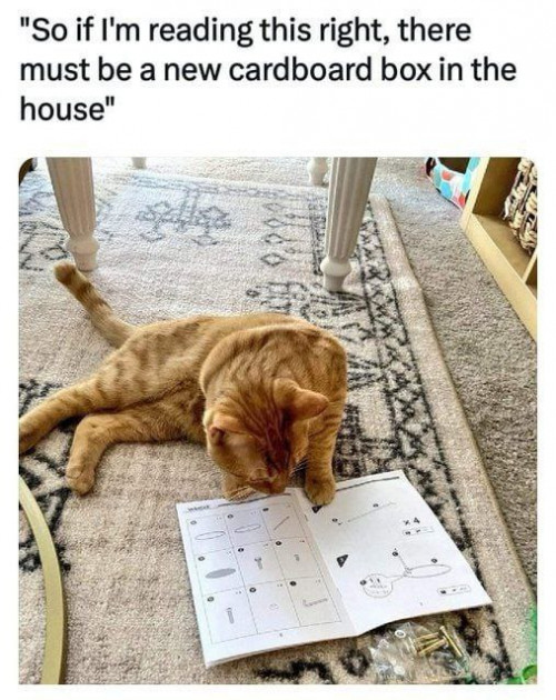 thumbs-picdump895-093.jpg