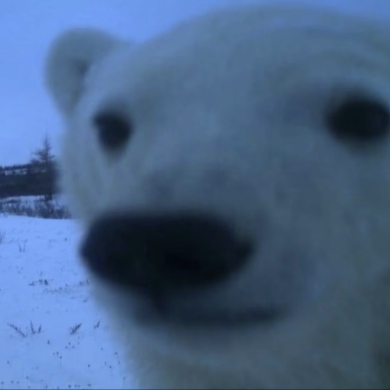 Screenshot 20260104 204812 com xingin xhs edit 542302626528186