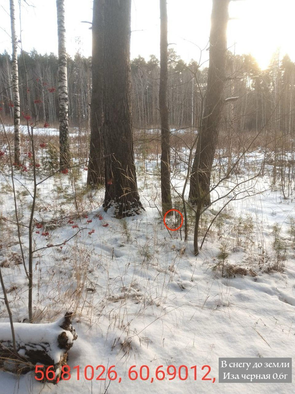 IMG 20251119 113944 057