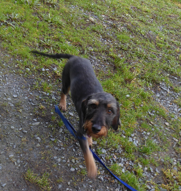 [Image: P1040658.jpg]