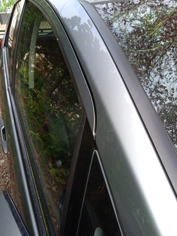 IMG_20250916_115240_1