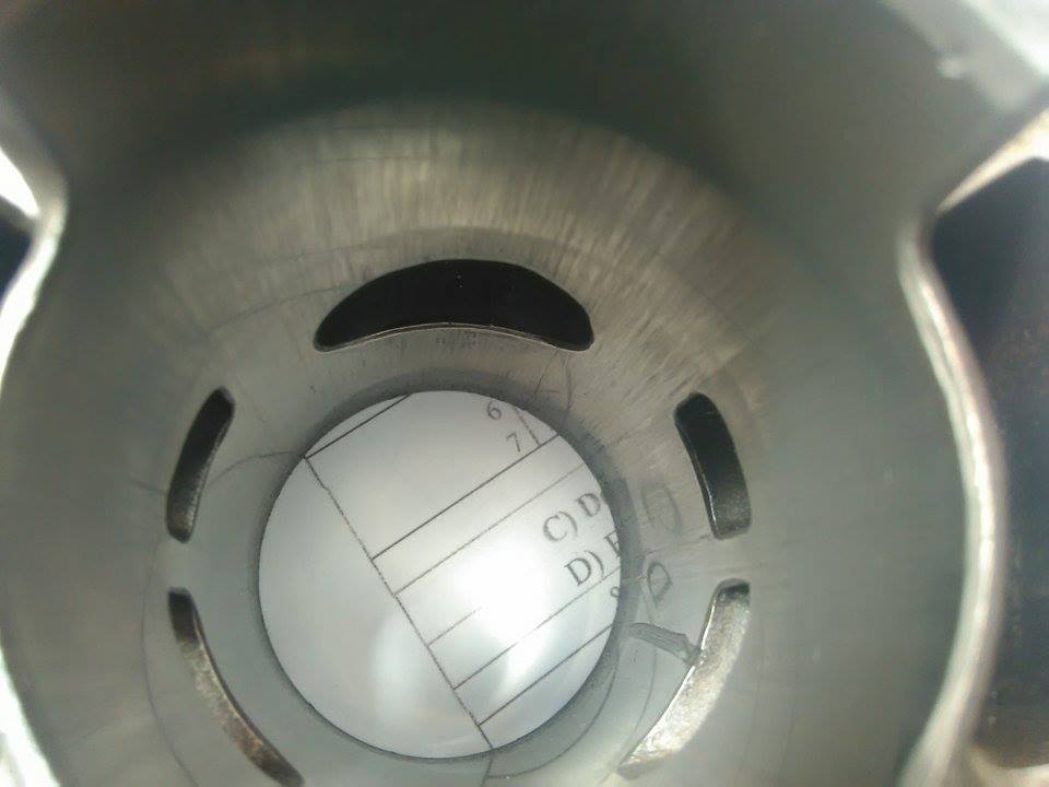 12919270_10208940540771293_541956282_n