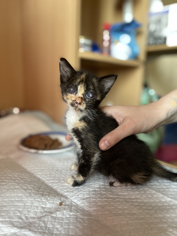 EFEEBDCE-3098-4365-B191-518C26D40977