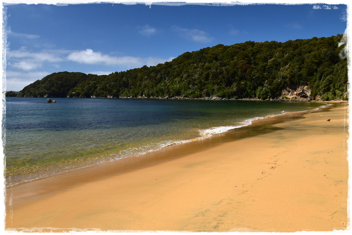 Stewart Island:  kiwis, Coast to Coast y unos días en Oban (febrero 2021) - Escapadas y rutas por la Nueva Zelanda menos conocida (60)