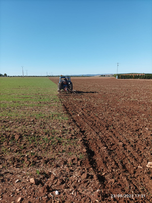 [Ebro Súper 55] Trabajando con cultivador 1696003070858