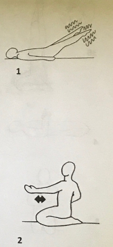 ОбновлениеНервнойСистемы