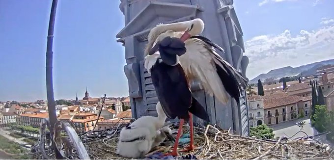 Foto cedida por Ayuntamiento de Alcalá