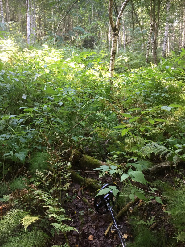 041426B2-9E53-4815-A78B-AFB2C04147C8