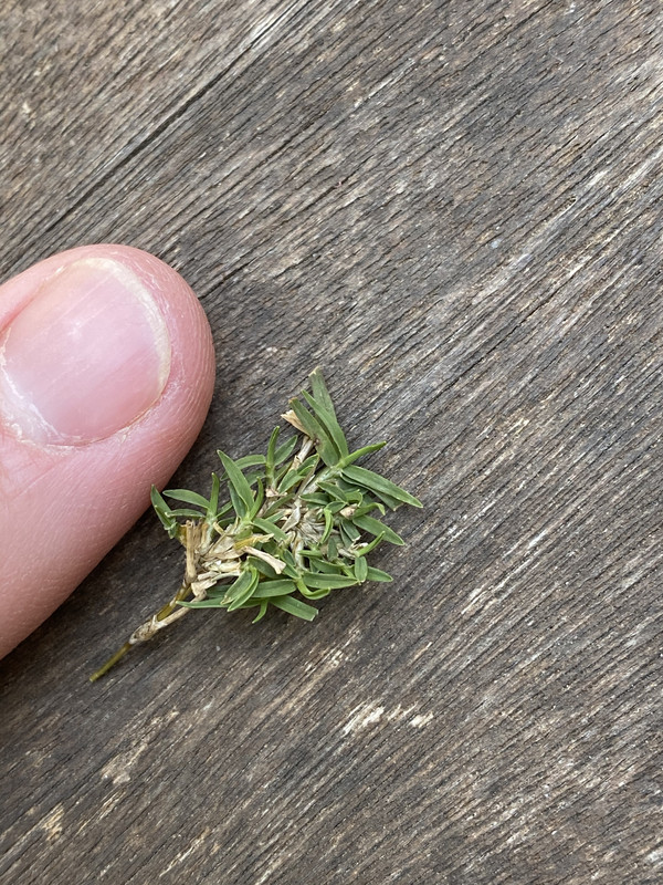 CE7A1C23-A029-4975-BF78-32746C697017