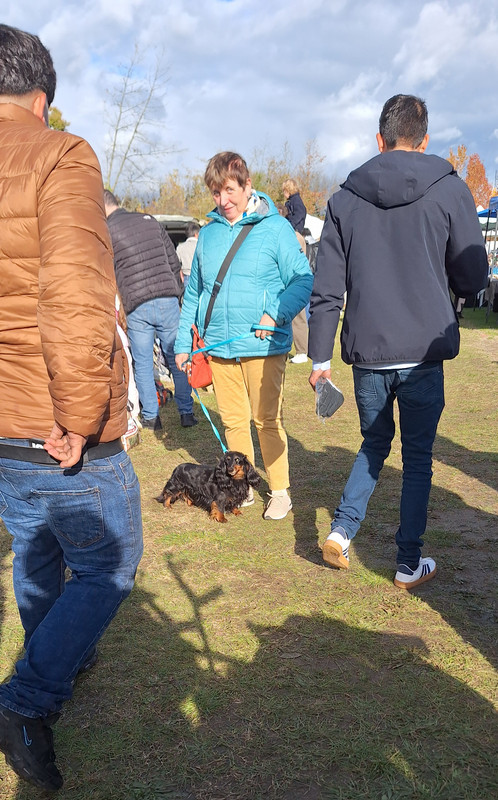 [Image: 20251026-143941.jpg]