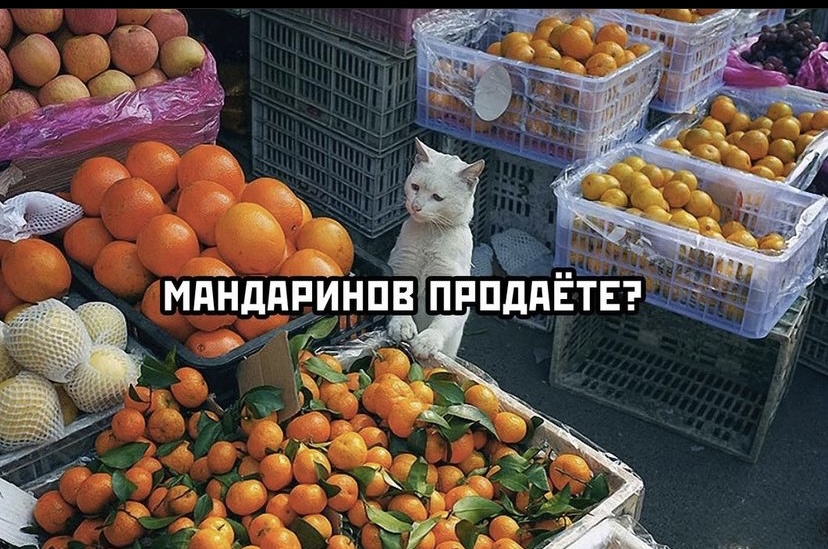 5AB53156-6638-4121-A186-00169ED40EAF