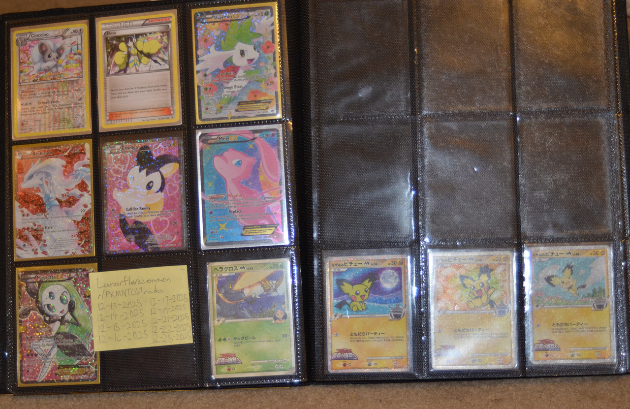 vander j meintel binder (16)