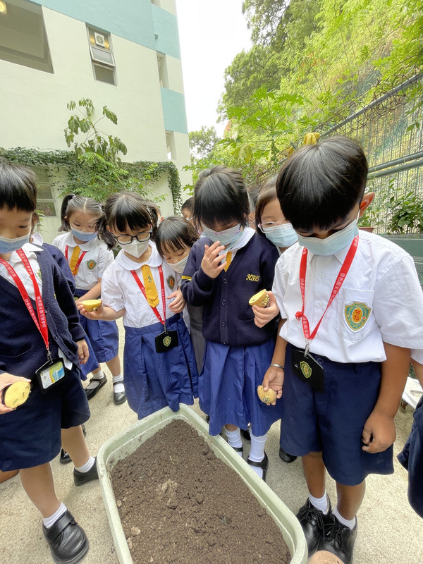 photo-littlefarmer2223-1B-006