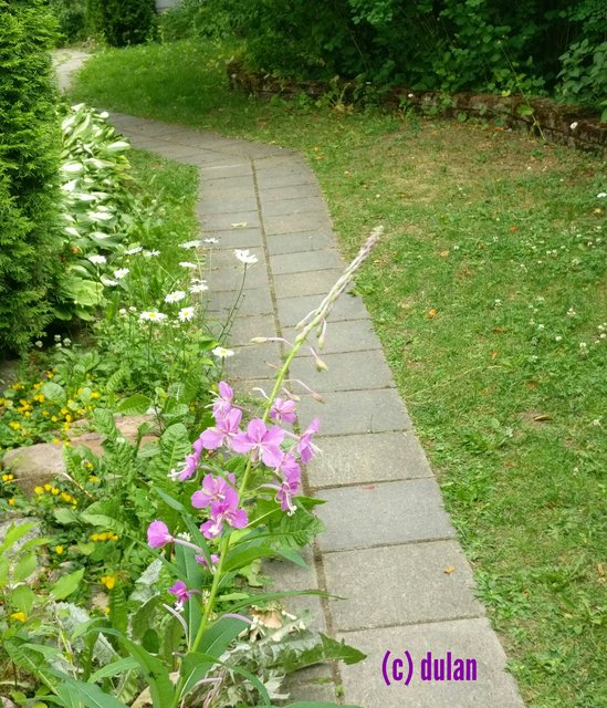[Image: IMG-20240605-155424.jpg]
