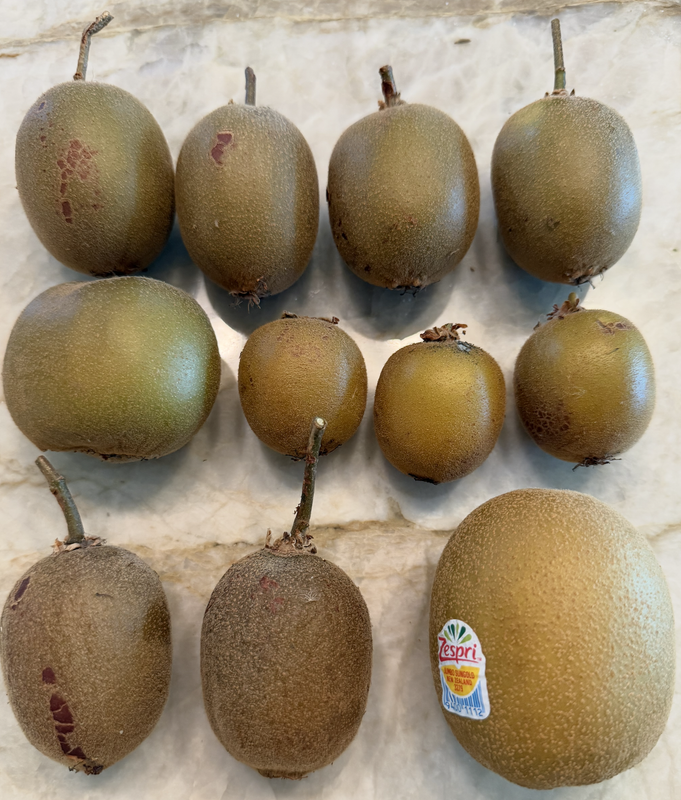 fruits