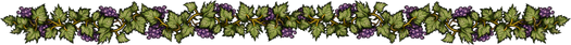 Grapevine-525.png Grapevine-525.png