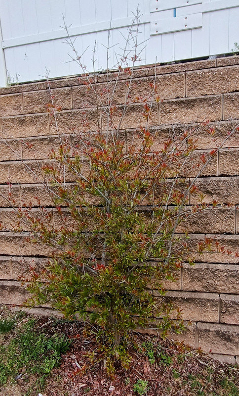 20230501_111353_HDR~2