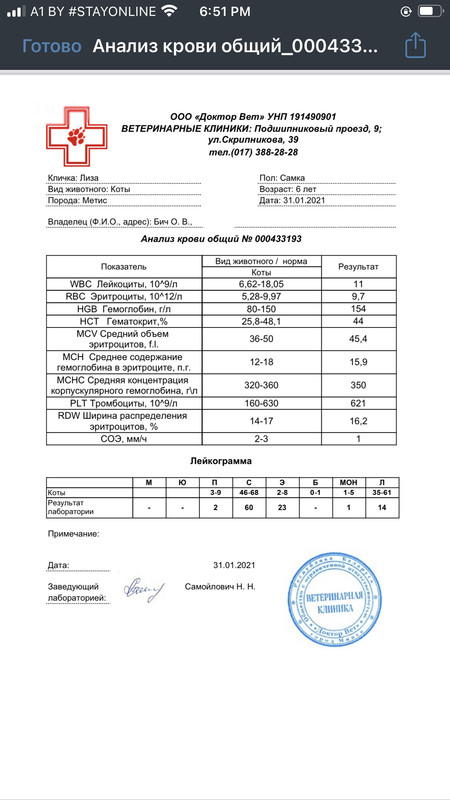 4788C53D-5ADE-444C-B473-59EACE734B39
