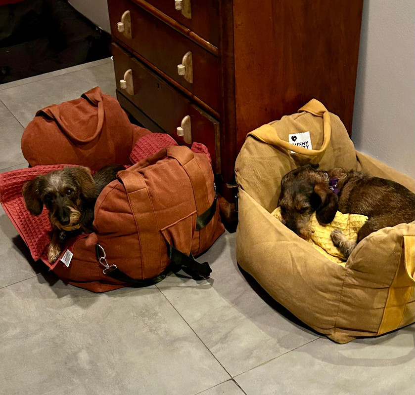 [Image: IMG-20240715-WA0014.jpg]