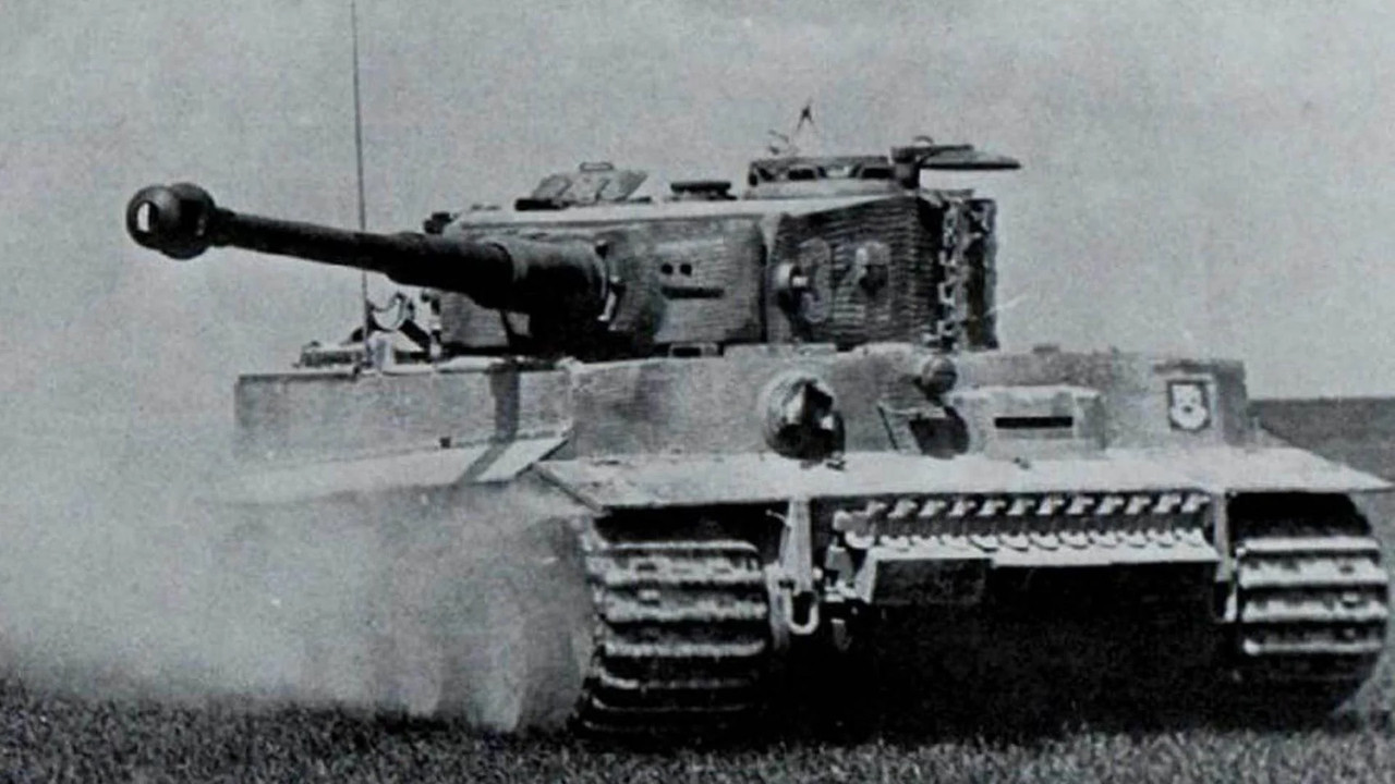 Tiger-1.jpg