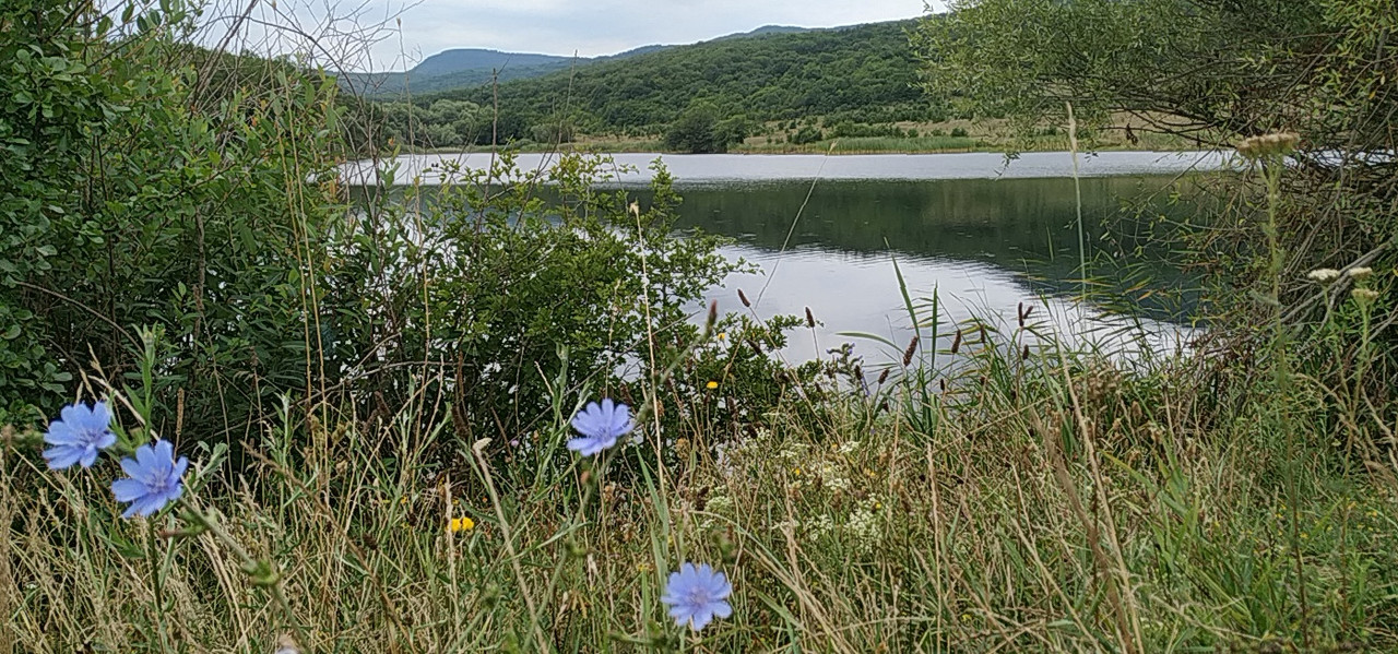 PANO_20190711_101900