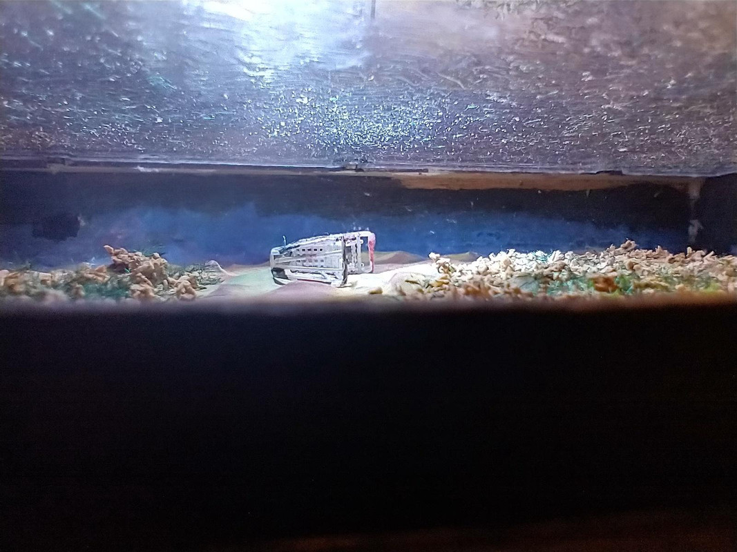 Daglicht - Imgur(14)