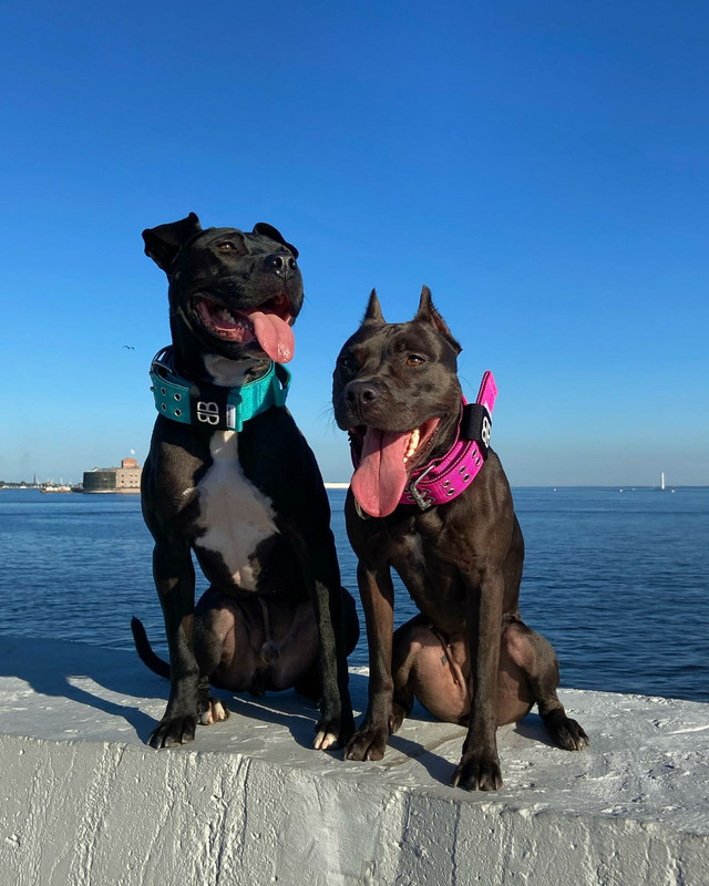 87D72D1E-EB50-4AC6-81DF-BBD90241CC3F