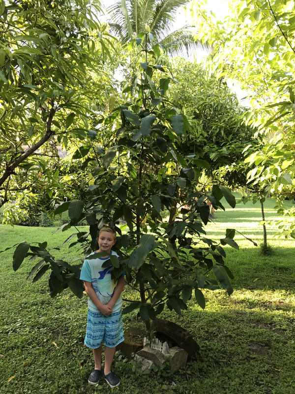 3176E2E5-810E-4E37-B9D0-B0B95AF2E0DC