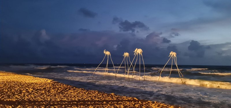 B195969A-0C7C-4828-B78F-B42C7FD32395