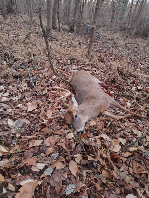 IMG_20241213_072539966