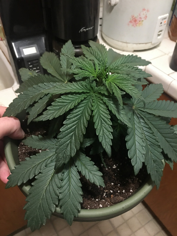 90D49AC4-7E8C-4A09-869E-ECD6ABD5DD5F