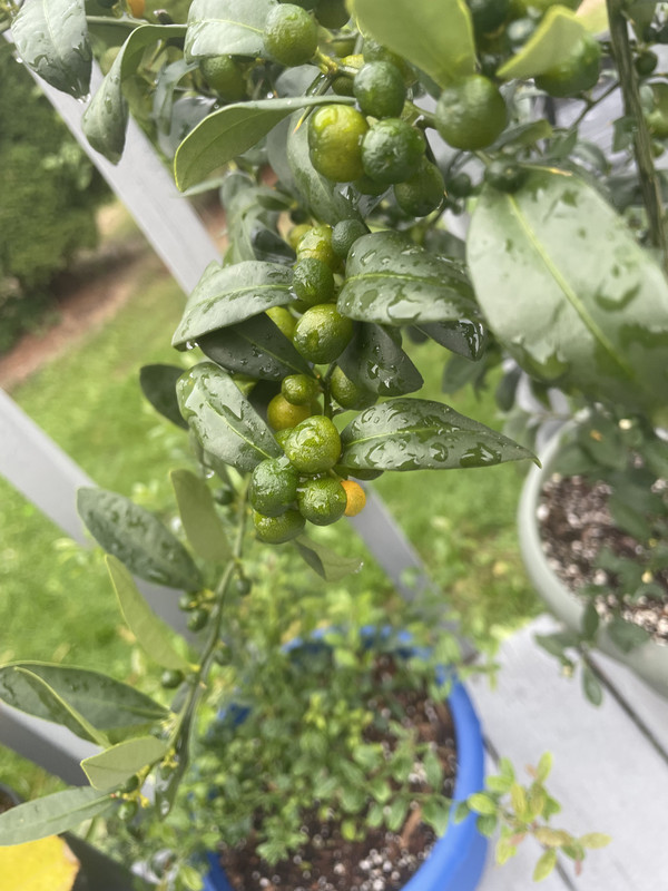 F38CEE03-9F1D-4612-96CB-17B4DD9B3DC7