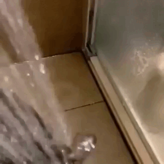 shower.gif
