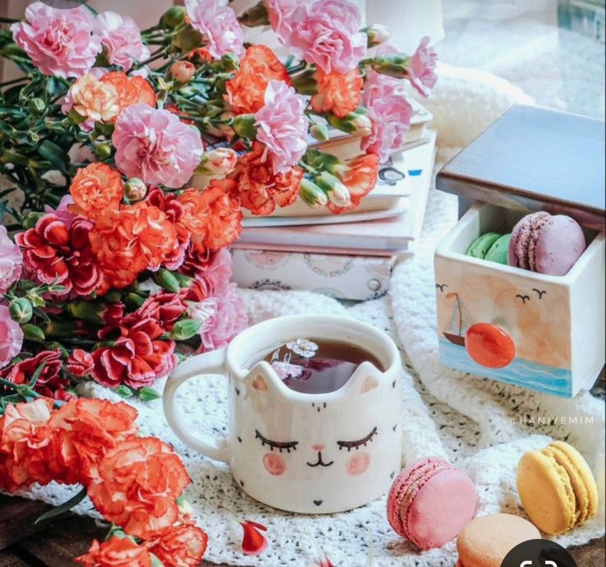 Screenshot_20230305_011758_Pinterest