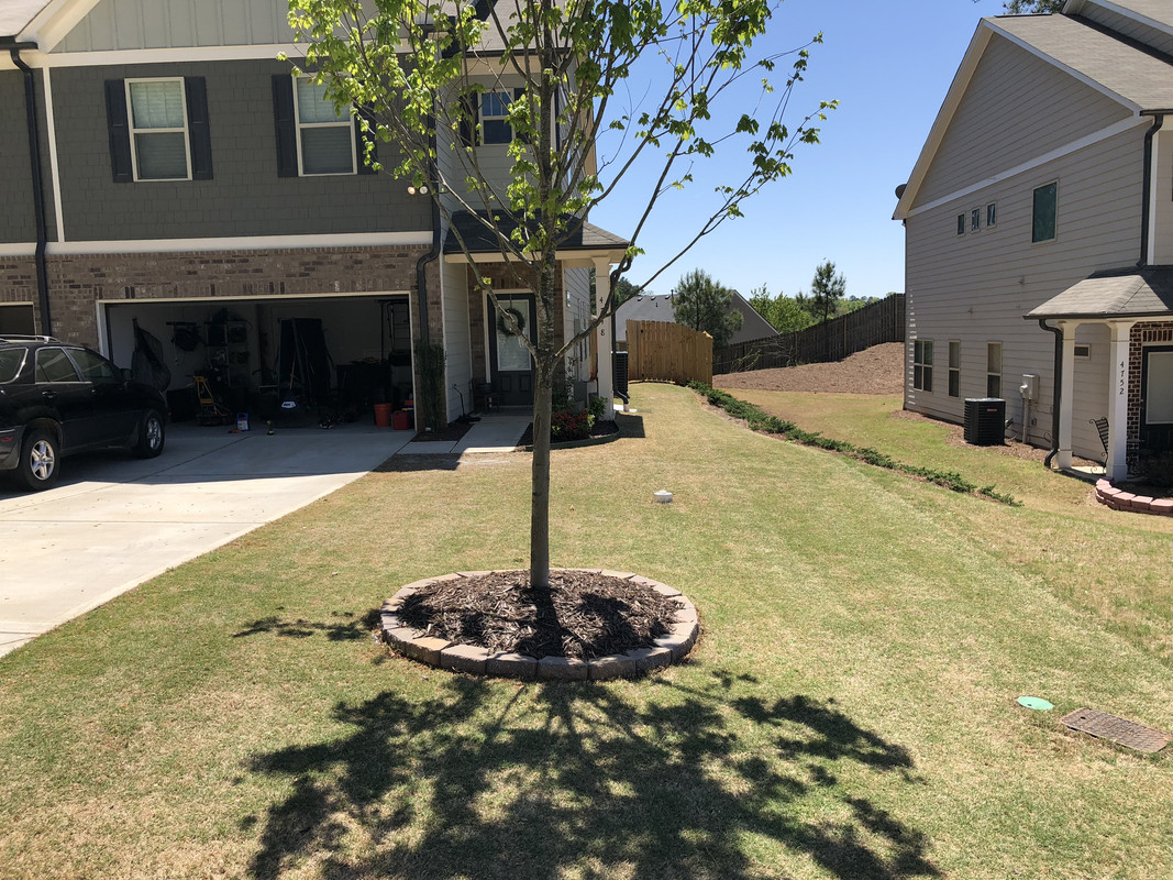 376E7541-6D97-4266-8168-D7A7C69179D3