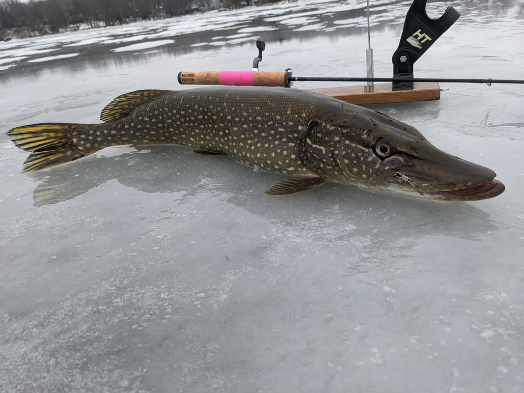 PXL_20221229_183942553