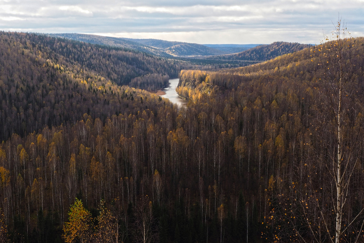 PA061897.jpg