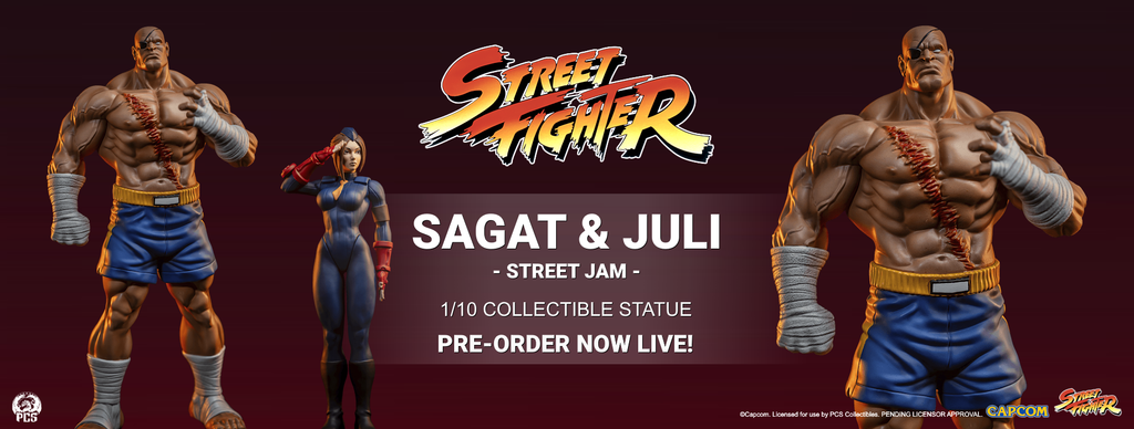 [Bild: FBBanner-PCSSFSagat-Juli-PO.png]